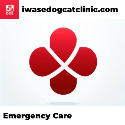 Emergency Care