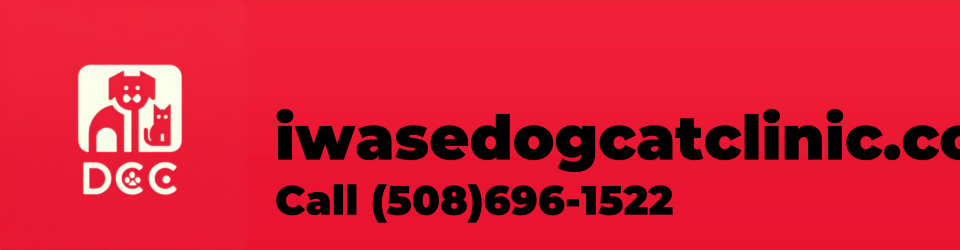 iwasedogcatclinic.com